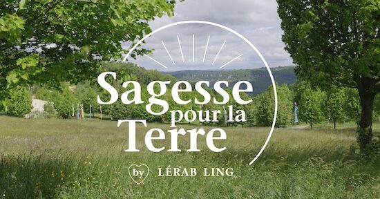 Sagesse pour la terre